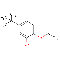 CAS:1216282-58-4 | OR957726 | 5-tert-butyl-2-ethoxyphenol