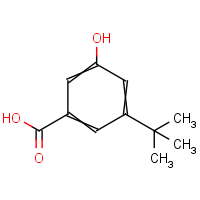 CAS: 49843-49-4 | OR957791 | 3-T-Butyl-5-hydroxybenzoic acid