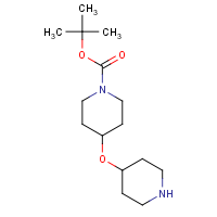 CAS: 845305-83-1 | OR959078 | 4-(Piperidin-4-yloxy)-piperidine-1-carboxylic acid tert-butyl ester
