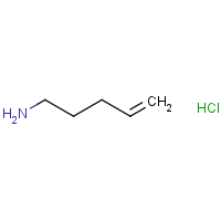 CAS: 27546-60-7 | OR960248 | Pent-4-en-1-amine hydrochloride
