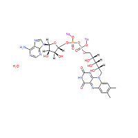 CAS:84366-81-4 | OR960790 | Flavin Adenine Dinucleotide Disodium Salt Hydrate