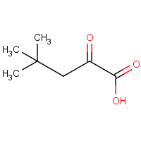 CAS: 34906-87-1 | OR961208 | 4,4-Dimethyl-2-oxo-pentanoic acid