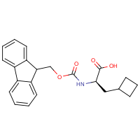 CAS:478183-63-0 | OR961533 | Fmoc-(R)-3-Cyclobutylalanine