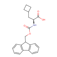 CAS:478183-62-9 | OR962218 | Fmoc-Ala(beta-cyclobutyl)-OH