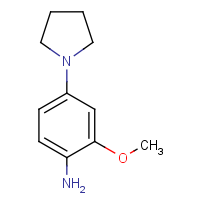 CAS: 143525-62-6 | OR962869 | 2-Methoxy-4-(pyrrolidin-1-yl)aniline