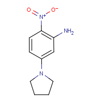 CAS: 289913-98-0 | OR963708 | 2-Nitro-5-(pyrrolidin-1-yl)aniline