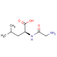 CAS: 869-19-2 | OR963728 | Glycyl-L-leucine