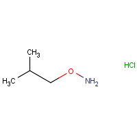 CAS:6084-58-8 | OR964831 | O-Isobutylhydroxylamine hydrochloride