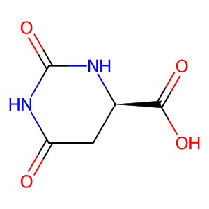 CAS: 5988-53-4 | OR96560 | (R)-2,6-Dioxohexahydropyrimidine-4-carboxylic acid