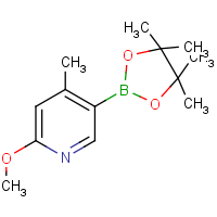 CAS:1093951-66-6 | OR968335 | 2-Methoxy-4-methyl-5-(4,4,5,5-tetramethyl-1,3,2-dioxaborolan-2-yl)pyridine