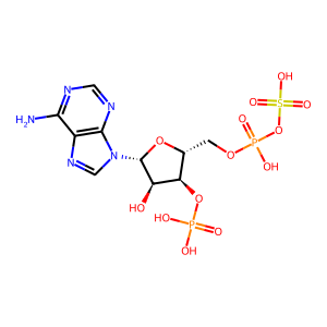 CAS: 482-67-7 | OR97966 | 3'-Phosphoadenosine-5'-phosphosulfate