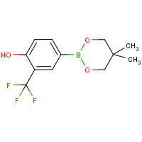 CAS:2096995-37-6 | PC01665 | 4-Hydroxy-3-(trifluoromethyl)benzeneboronic acid, neopentyl glycol ester