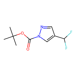 CAS: 2232877-36-8 | PC1003511 | tert-Butyl 4-(difluoromethyl)-1H-pyrazole-1-carboxylate