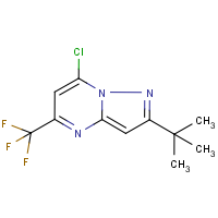 CAS: 175203-38-0 | PC1604 | 2-tert-Butyl-7-chloro-5-(trifluoromethyl)pyrazolo[1,5-a]pyrimidine