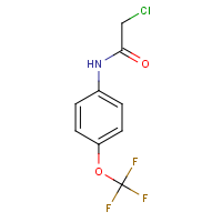 CAS: 161290-85-3 | PC1688T | N-(Chloroacetyl)-4-(trifluoromethoxy)aniline