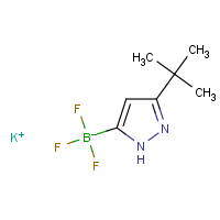 CAS:1402242-84-5 | PC200111 | Potassium [3-(tert-butyl)-1H-pyrazol-5-yl]trifluoroborate