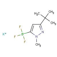 CAS: 1402242-79-8 | PC200115 | Potassium (3-(tert-butyl)-1-methyl-1H-pyrazol-5-yl)trifluoroborate