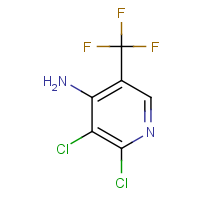 CAS: 431942-80-2 | PC200235 | 4-Amino-2,3-dichloro-5-(trifluoromethyl)pyridine