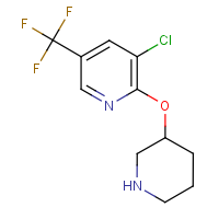 CAS:1242268-26-3 | PC200254 | 3-Chloro-2-(piperidin-3-yloxy)-5-(trifluoromethyl)pyridine