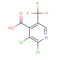 CAS:1135283-33-8 | PC200277 | 2,3-Dichloro-5-(trifluoromethyl)isonicotinic acid