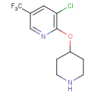 CAS:1092352-80-1 | PC200283 | 3-Chloro-5-(trifluoromethyl)-2-pyridinyl 4-piperidinyl ether