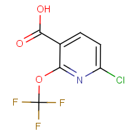 CAS: 1221171-91-0 | PC200447 | 6-Chloro-2-(trifluoromethoxy)nicotinic acid