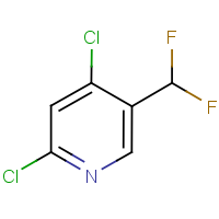 CAS:1256833-30-3 | PC200458 | 2,4-Dichloro-5-(difluoromethyl)pyridine
