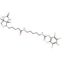 CAS: 1212424-82-2 | PC2086 | Pentafluorophenyl Biotinamidopentanoate