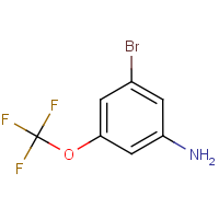 CAS: 914636-35-4 | PC2614 | 3-Bromo-5-(trifluoromethoxy)aniline