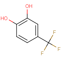 CAS:37519-09-8 | PC28227 | 4-(Trifluoromethyl)benzene-1,2-diol