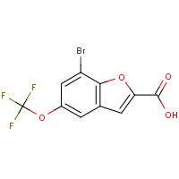 CAS:2379918-53-1 | PC28250 | 7-Bromo-5-(trifluoromethoxy)benzofuran-2-carboxylic acid