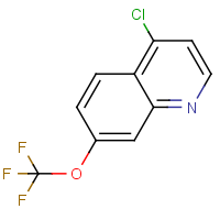 CAS: 40516-31-2 | PC28306 | 4-Chloro-7-(trifluoromethoxy)quinoline