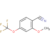 CAS:886500-25-0 | PC302249 | 2-Methoxy-4-(trifluoromethoxy)benzonitrile