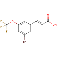 CAS: 1092460-68-8 | PC302283 | 3-Bromo-5-(trifluoromethoxy)cinnamic acid