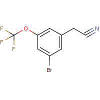 CAS:1092461-34-1 | PC302284 | 3-Bromo-5-(trifluoromethoxy)phenylacetonitrile