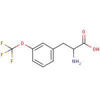 CAS:439587-14-1 | PC302493 | 3-(Trifluoromethoxy)-DL-phenylalanine