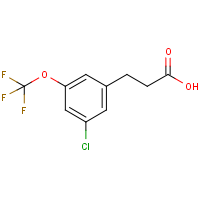 CAS: 916420-74-1 | PC302506 | 3-[3-Chloro-5-(trifluoromethoxy)phenyl]propionic acid