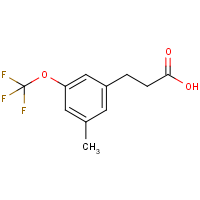 CAS:916420-57-0 | PC302510 | 3-[3-Methyl-5-(trifluoromethoxy)phenyl]propionic acid