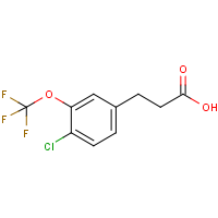 CAS: 916420-75-2 | PC302514 | 3-[4-Chloro-3-(trifluoromethoxy)phenyl]propionic acid