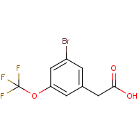 CAS: 1092461-35-2 | PC302520 | 3-Bromo-5-(trifluoromethoxy)phenylacetic acid