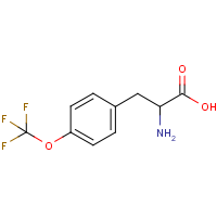 CAS: 174732-57-1 | PC302564 | 4-(Trifluoromethoxy)-DL-phenylalanine