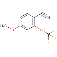 CAS: 886502-33-6 | PC302598 | 4-Methoxy-2-(trifluoromethoxy)benzonitrile