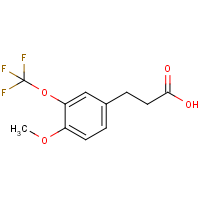 CAS: 1261587-75-0 | PC302825 | 3-[4-Methoxy-3-(trifluoromethoxy)phenyl]propionic acid