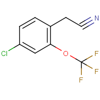 CAS: 1261861-63-5 | PC302858 | 4-Chloro-2-(trifluoromethoxy)phenylacetonitrile