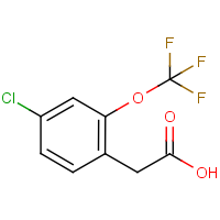 CAS: 1261570-91-5 | PC302969 | 4-Chloro-2-(trifluoromethoxy)phenylacetic acid