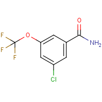 CAS: 886503-25-9 | PC303059 | 3-Chloro-5-(trifluoromethoxy)benzamide