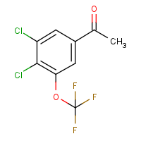 CAS:1823541-26-9 | PC303172 | 3,4-Dichloro-5-(trifluoromethoxy)acetophenone