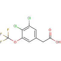 CAS: 1706430-35-4 | PC303241 | 3,4-Dichloro-5-(trifluoromethoxy)phenylacetic acid