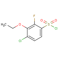CAS:1706430-95-6 | PC303268 | 4-Chloro-3-ethoxy-2-fluorobenzenesulfonyl chloride