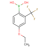 CAS:313545-39-0 | PC3071 | 4-Ethoxy-2-(trifluoromethyl)benzeneboronic acid